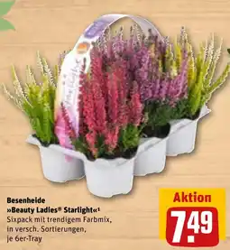 REWE DE Beauty Ladies Starlight tilbud