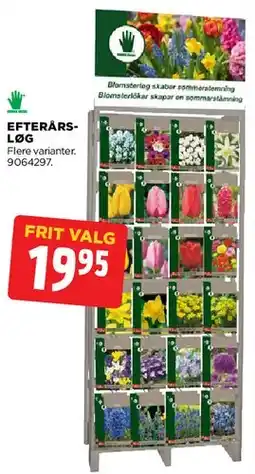 jem & fix Efterårs-løg tilbud