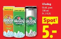 Lidl Uludağ Gazoz tilbud
