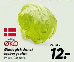 Bilka Økologisk dansk icebergsalat tilbud