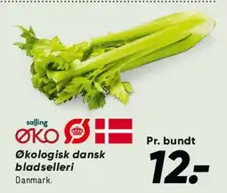 Bilka Økologisk dansk bladselleri tilbud