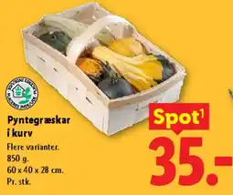 Lidl Pyntegræskar i kurv tilbud