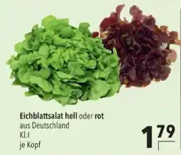 Citti Eichblattsalat hell oder rot tilbud
