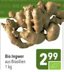 Citti Bio Ingwer tilbud