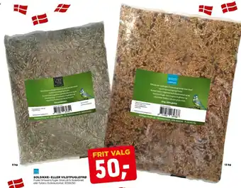 Bird Solsikke- eller vildtfuglefrø