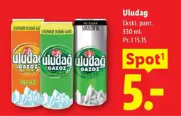 Lidl Uludag tilbud