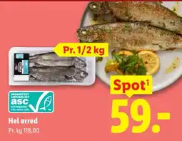 Lidl Hel ørred tilbud