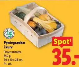 Lidl Pyntegræskar i kurv tilbud