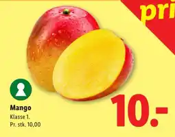 Lidl Mango tilbud