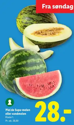 Lidl Piel de Sapo-melon eller vandmelon tilbud