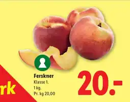 Lidl Ferskner tilbud