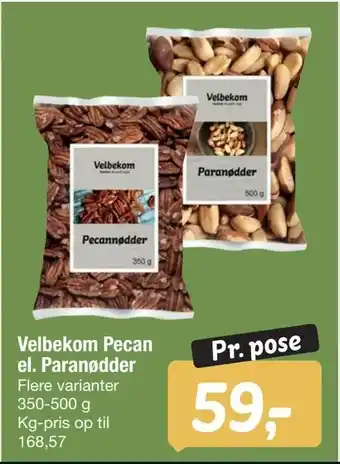 Fakta Tyskland Velbekom Pecan el. Paranødder tilbud