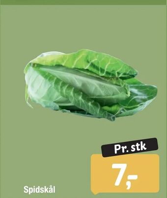 Fakta Tyskland Spidskål tilbud