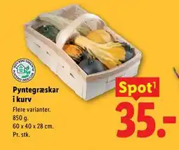 Lidl Pyntegræskar i kurv tilbud