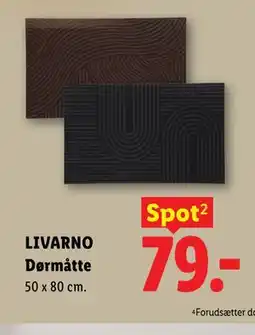 Lidl LIVARNO Dørmåtte tilbud
