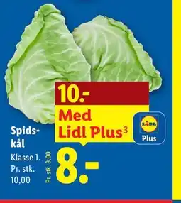Lidl Spidskål tilbud