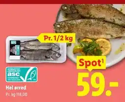 Lidl Hel ørred tilbud