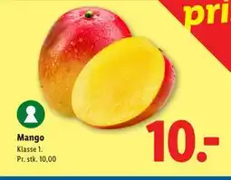 Lidl Mango tilbud