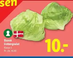 Lidl Dansk icebergsalat tilbud