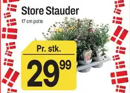 ABC Lavpris Store Stauder tilbud