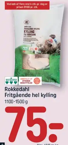 REMA 1000 Rokkedahl Fritgående hel kylling tilbud