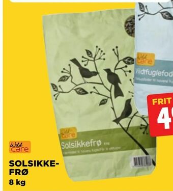 jem & fix Solsikkefrø tilbud