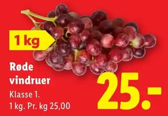 Røde vindruer