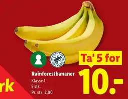 Lidl Rainforestbananer tilbud
