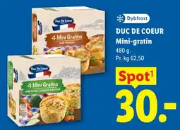 Lidl Duc De Coeur mini-gratin tilbud