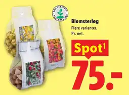 Lidl Blomsterløg tilbud