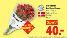 Lidl Queen brændende kærlighed buket tilbud