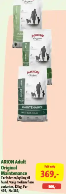 Arion Adult Maintenance