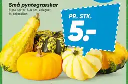 Bilka Små pyntegræskar tilbud
