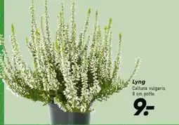 Bilka Lyng tilbud