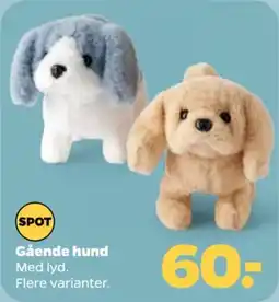 Netto Spot gående hund tilbud