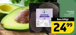 Løvbjerg Spiseklare Avocado tilbud