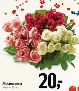 Føtex Afskårne roser tilbud