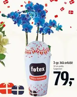 Føtex 3-gr. blå orkidé tilbud