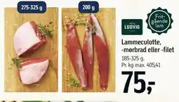 Føtex Lammeculotte, -mørbrad eller -filet tilbud