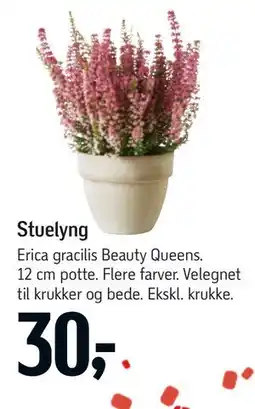 Føtex Stuelyng tilbud