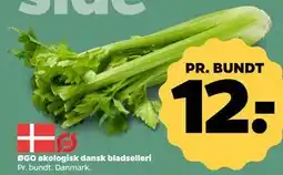 Netto ØGO økologisk dansk bladselleri tilbud