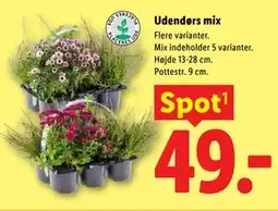 Lidl Udendørs mix tilbud