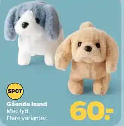 Netto Gående hund tilbud
