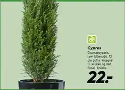 Bilka Cypres tilbud