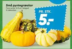 Bilka Små pyntegræskar tilbud