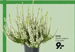 Bilka Lyng tilbud