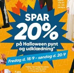Bilka Halloween pynt og udklædning tilbud