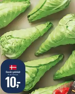 Føtex Dansk spidskål tilbud