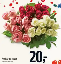 Føtex Afskårne roser tilbud