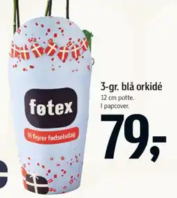 Føtex 3-gr. blå orkidé tilbud